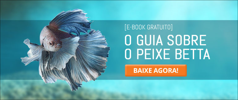 E-book Guia Sobre o Peixe Betta - Baixe agora!