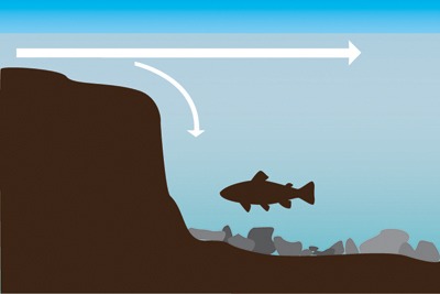 drops - Pesca de trairão: descubra as particularidades e a melhor forma de fisgá-lo