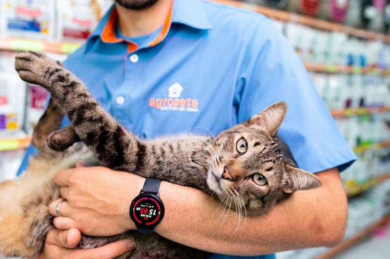 Pets - Pet shop em Sumaré é Agrosete: dedicação e qualidade para os pets da região